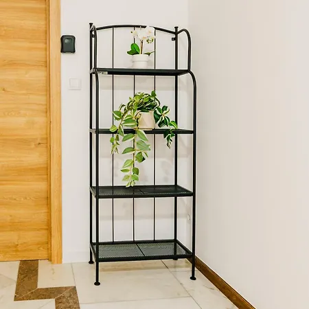 Vistoso Alto Palace Gasthuis